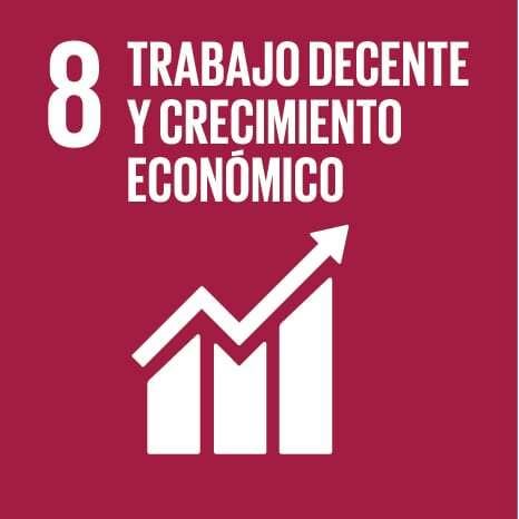 OBS_Icon_08_Trabajo_decente_y_crecimiento_economico